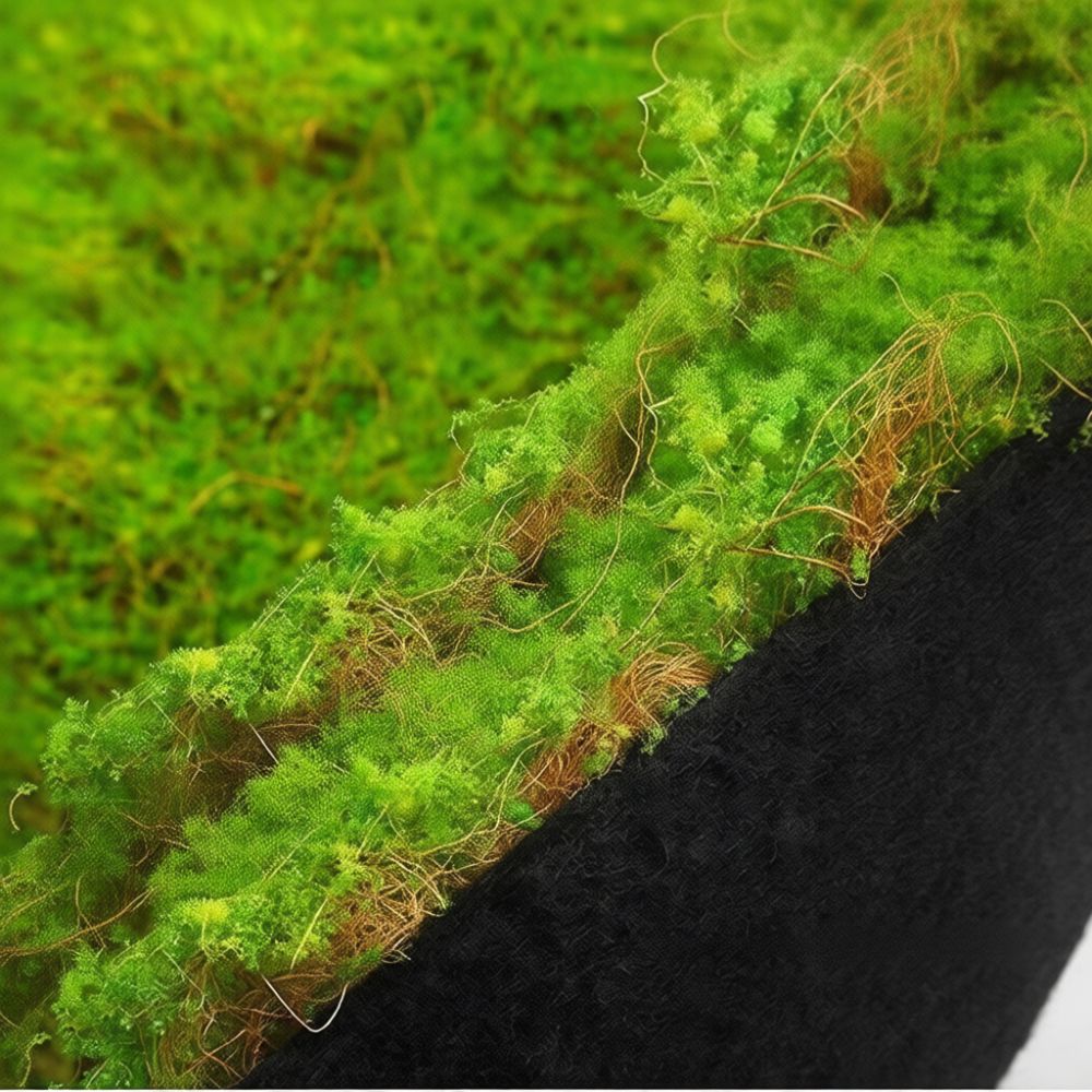 แผ่นหญ้าเทียมลายมอส สำหรับตกแต - Preserved Moss Sheet บทวิจารณ์และราคา