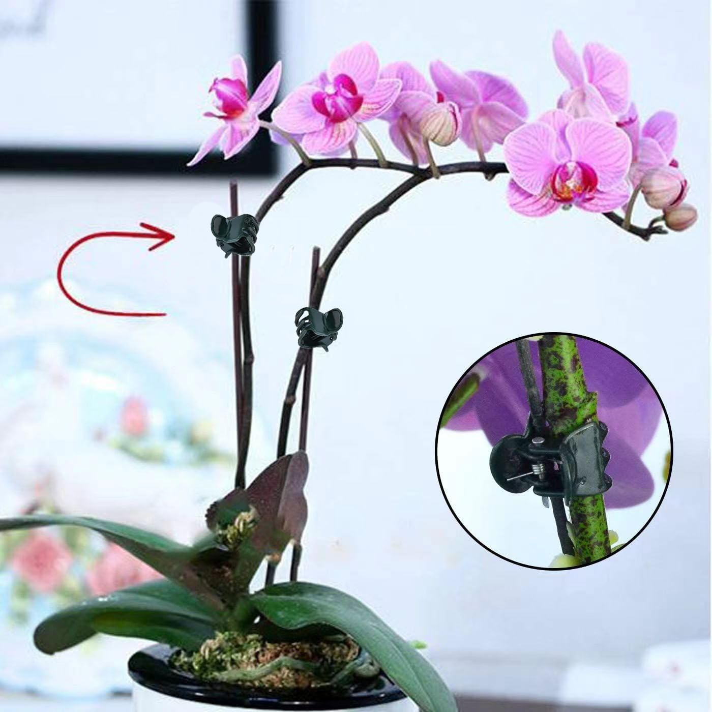คลิปหนีบต้นไม้ขนาดเล็ก 100 ชิ้ - Florist Supply Bulk บทวิจารณ์และราคา