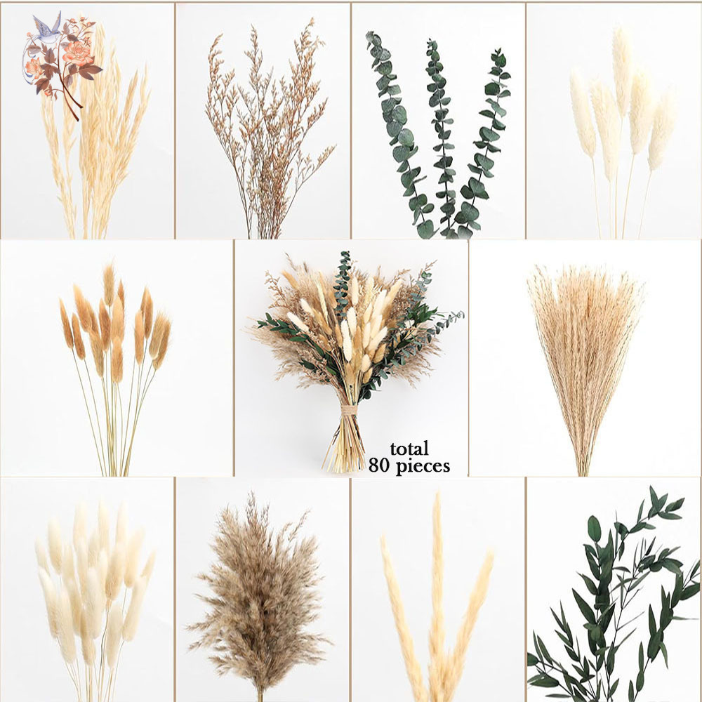 ช่อดอกไม้แห้งธรรมชาติ 80 ชิ้น  - Eucalyptus Preserved บทวิจารณ์และราคา